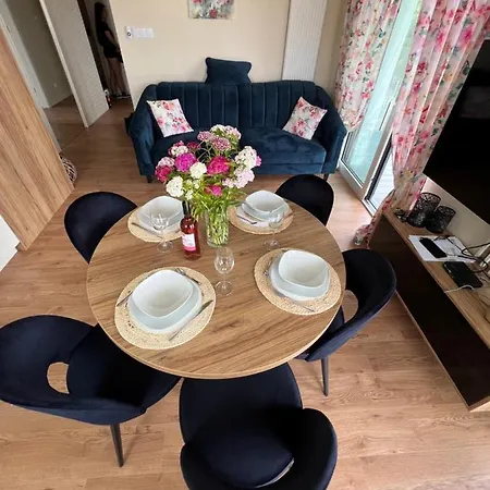 Rodzinna Wyspa * シャノジェンティ